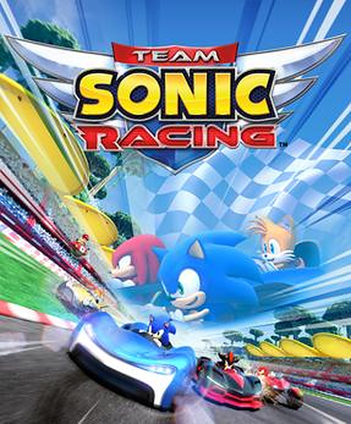 NINTENDO SWITCH Team Sonic Racing