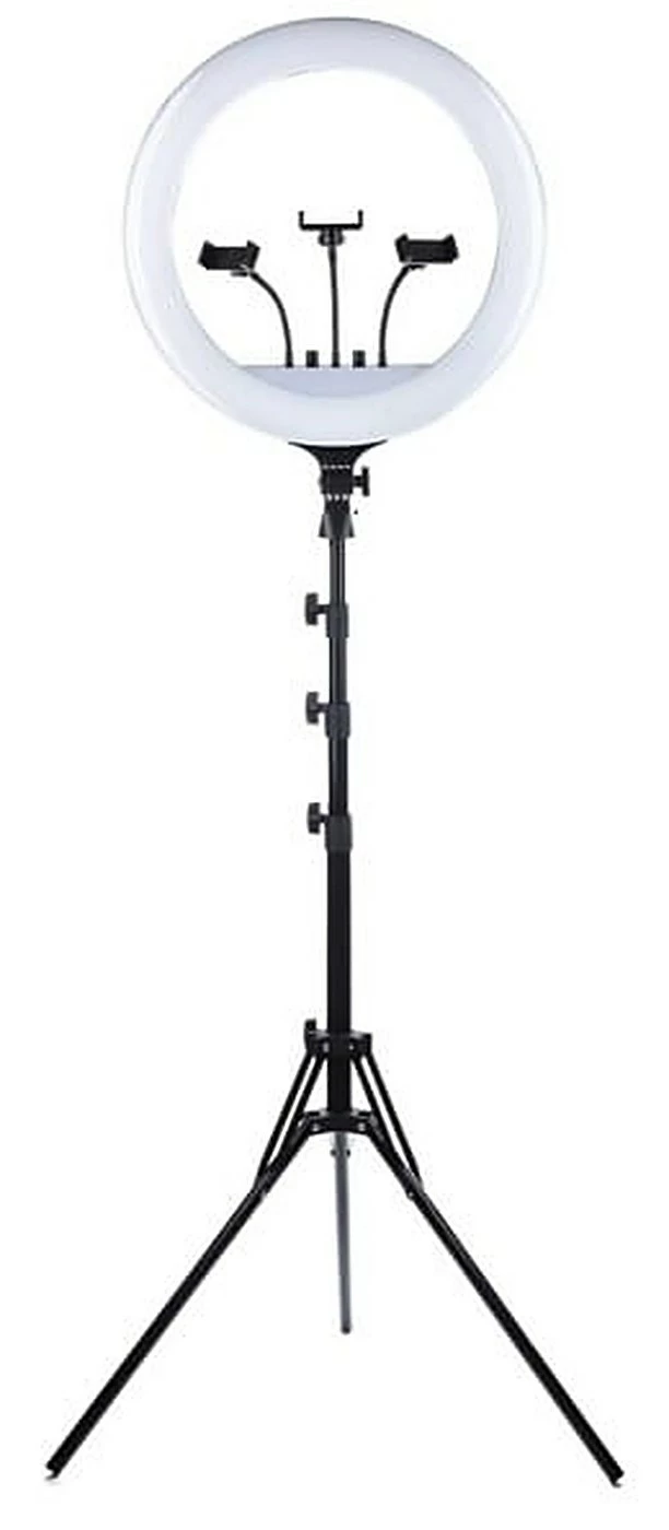 ts-2449-hires